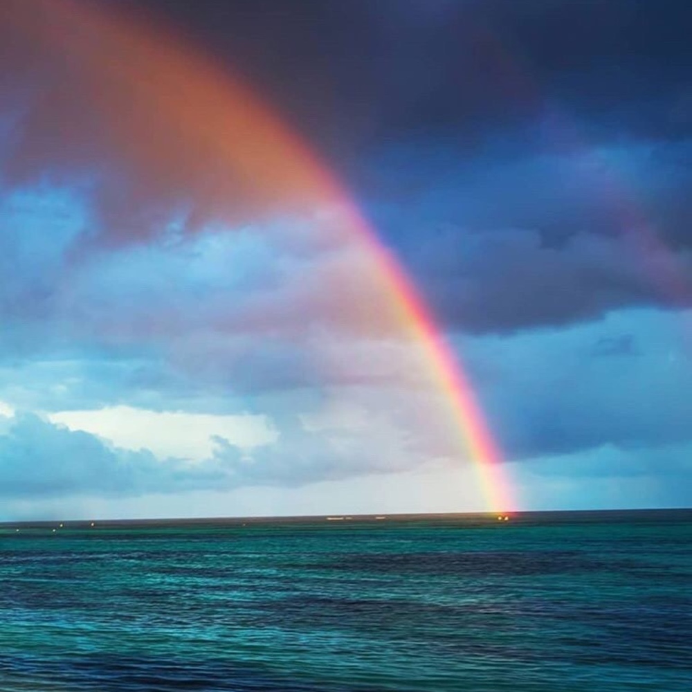 Meet your Posher, Nora